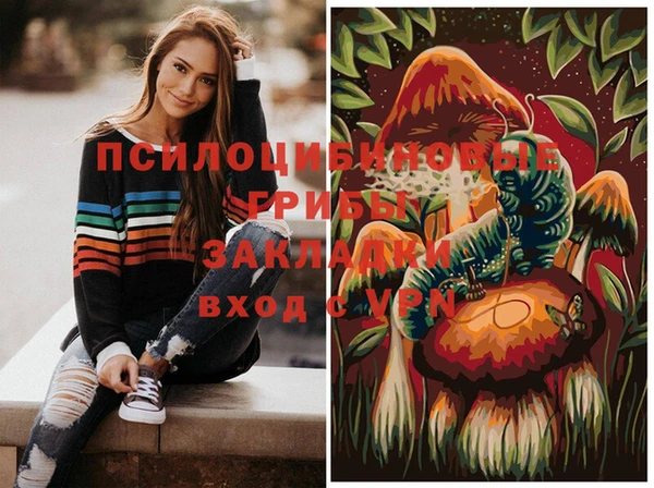мяу мяу мука Няндома