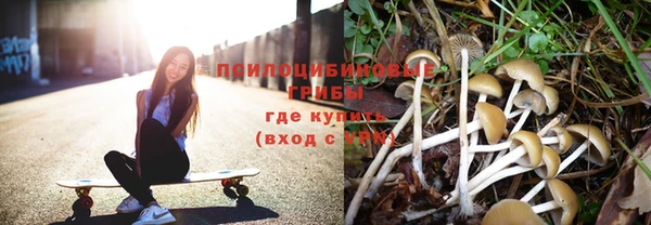 стаф Нязепетровск