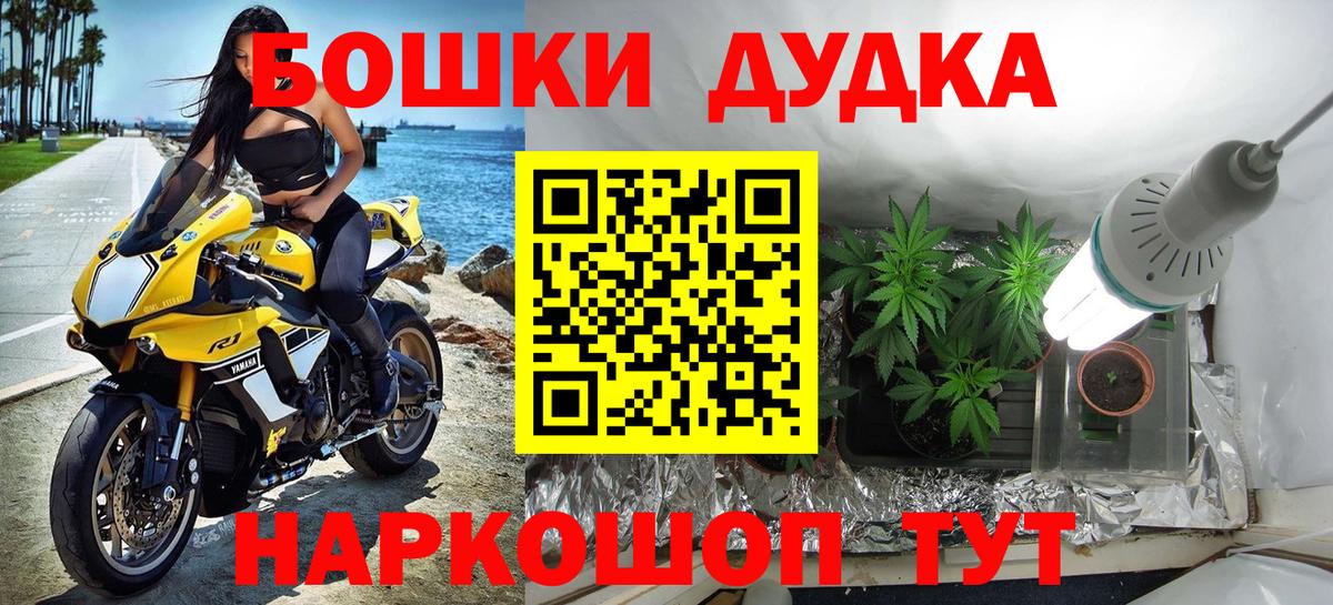 Шишки марихуана марихуана Богданович